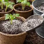 Proč je popel lepší než směsi zakoupené v obchodě proc-je-popel-lepsi-nez-smesi-zakoupene-v-obchode.png