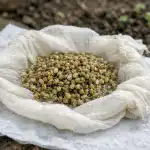 Tajemství nekonečného záhonu aneb jak získat první úrodu petržele o dva týdny dříve než sousedé tajemstvi-nekonecneho-zahonu-aneb-jak-ziskat-prvni-urodu-petrzele-o.png