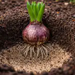 Tajné spiknutí cibulovin aneb proč vaše zahrada ignoruje jaro tajne-spiknuti-cibulovin-aneb-proc-vase-zahrada-ignoruje-jaro.png