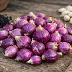 Výběr sadebního materiálu vyber-sadebniho-materialu.png